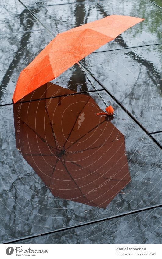 the weather forecast for today Climate Climate change Weather Bad weather Rain Umbrellas & Shades Reflection Orange Ground Lie Open Deserted Wet Damp 1