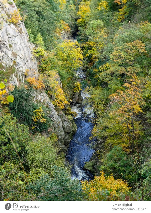 Bodetal in the Harz Mountains Vacation & Travel Tourism Nature Landscape Water Autumn Rock Canyon River Tall Relaxation Environment Rosstrappe Autumn leaves