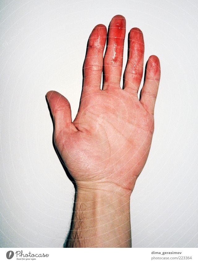 Bloody fingers. Lifestyle Arm Hand Passion Colour photo Interior shot Flash photo