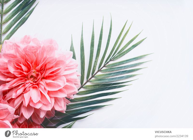 Pink flowers and tropical leaves on white Style Design Summer Plant Flower Leaf Blossom Hip & trendy Conceptual design Tropical Palm frond Rose