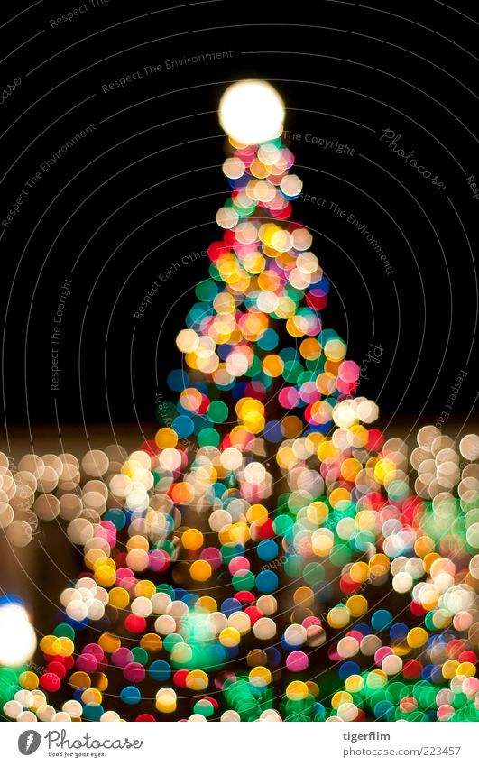 christmas tree in the night Christmas & Advent Illuminate Illuminating Christmas tree Shine on Multicoloured Abstract Structures and shapes Night Night sky Dark