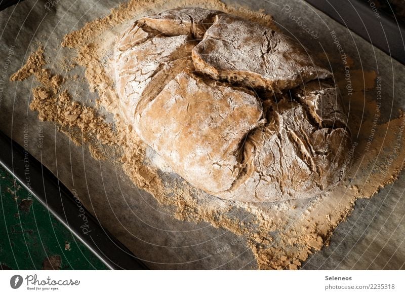 country bread Food Grain Dough Baked goods Bread Nutrition Eating Breakfast Dinner Organic produce Vegetarian diet Fresh Healthy Delicious Colour photo