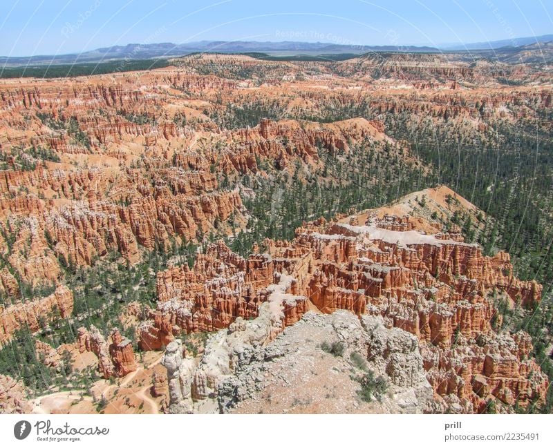 Bryce Canyon National Park Tourism Nature Sand Tree Rock Stone Brown Red Utah USA Hoodoos Rock formation Erosion Weathered Sandstone Sediment rock needle