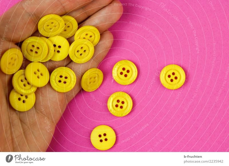 Yellow buttons Man Adults Hand Fingers Plastic Touch To hold on Pink Joy Fairness Surprise Accuracy Inspiration Buttons Numbers majority Many Few Empty
