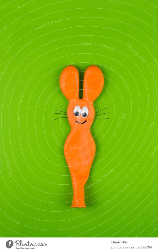 bunnies Lifestyle Leisure and hobbies Hunting Handcrafts Art Artist Environment Nature Animal Wild animal 1 Success Cute Orange Hare & Rabbit & Bunny Mouse