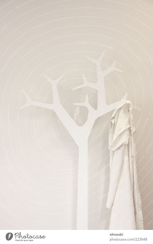 white Design Interior design Decoration Room Tree Clothing Hallstand Jacket White Arrangement Colorless Colour photo Subdued colour Interior shot Copy Space top