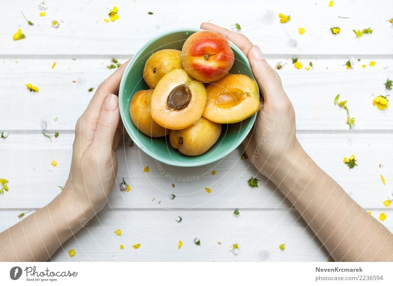 Female hands holding a bowl of apricots Food Fruit Candy Apricot Nutrition Eating Breakfast Lunch Dinner Picnic Organic produce Diet Bowl Pot Cup Mug Feeding