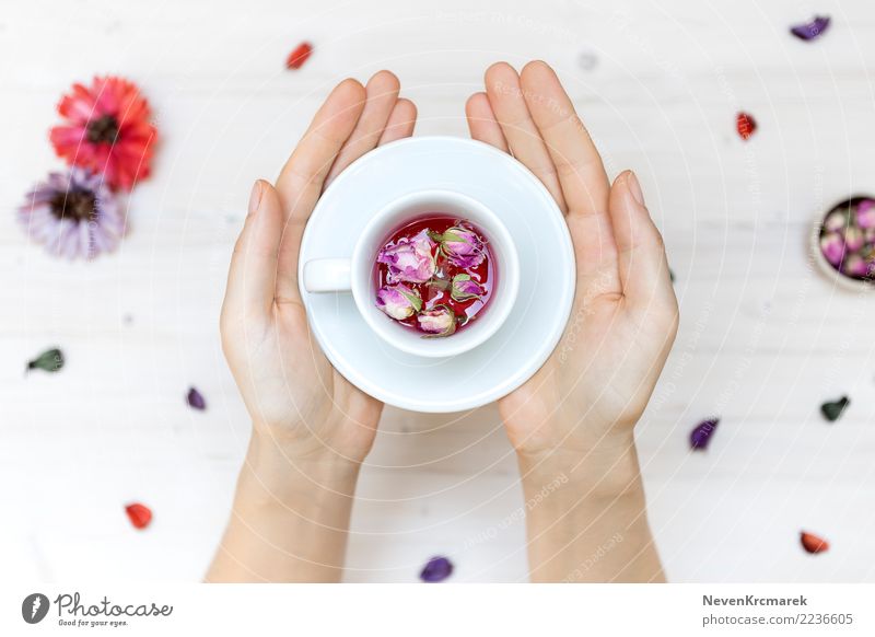 Female hands holding a plate and a cup with rose flowers Tea Mug Plant Flower Wood Determination Life Hand Rose leaves Tabletop Tea cup Colour photo