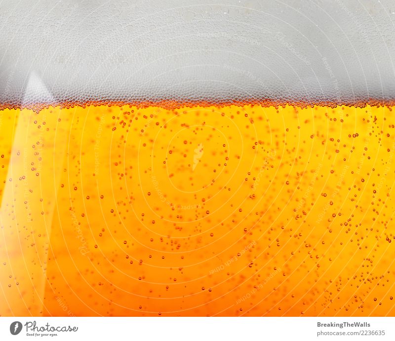 Extreme close up of beer in glass, side view Beverage Cold drink Alcoholic drinks Beer Glass Yellow Gold White Fresh ale pils Froth Air bubble Refreshment
