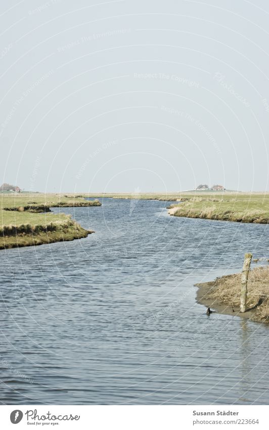 hooge Landscape Cloudless sky Hill Waves Coast River bank North Sea Small Holm Island North Sea Islands North Sea coast Break water Moss Settlement Deserted