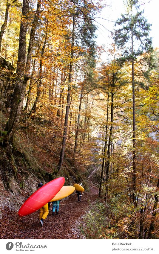 #S# Kayak hiking Aquatics Hiking Nature Water Forest Autumn Sports Extreme sports Leaf Paddling Passion Anticipation Effort Yellow Red Colour photo