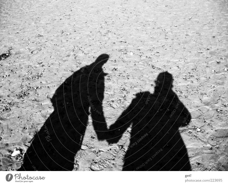 Pair Human being Couple Partner 2 Love Black & white photo Reflection Shadow Copy Space top Hold hands Sand Silhouette Lovers Together Relationship Trust