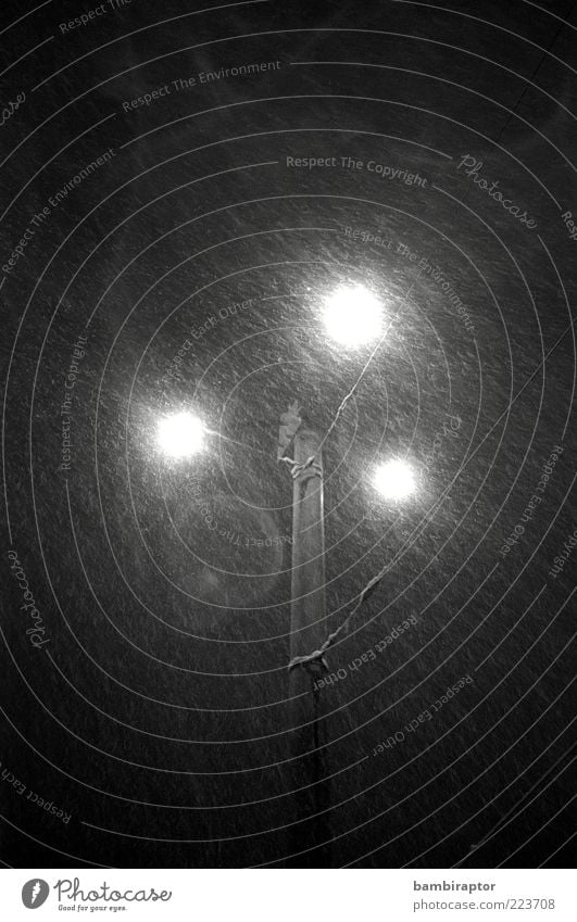 city lights Lamp Winter Weather Bad weather Rain Snow Snowfall Freeze Cold Wet Street lighting Mast Light Black & white photo Exterior shot Deserted Morning