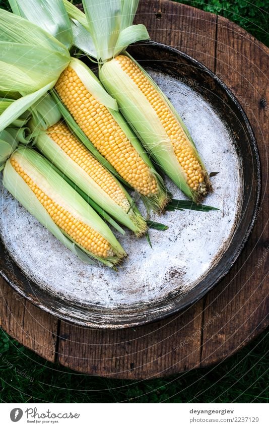 Raw corn in the garden Vegetable Nutrition Summer Garden Leaf Wood Fresh Natural Yellow Gold Green Harvest sweet background cob food healthy agriculture