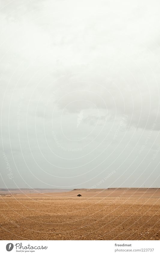 solitude Environment Nature Landscape Sky Clouds Bad weather Drought Desert Infinity Uniqueness Gloomy Dry Calm Loneliness Apocalyptic sentiment Morocco