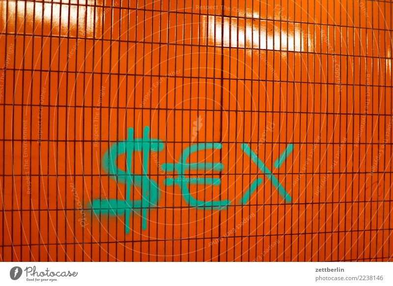 SEX again Tile Damage to property Smeared Sex Gender Tagger Graffiti Tagging (graffiti) Vandalism Word Corridor Passage Wall (building) US Dollar Dollar symbol