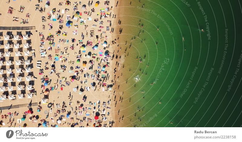 Aerial Summer View Of People Crowd Having Fun On Beach Lifestyle Joy Vacation & Travel Tourism Summer vacation Sunbathing Ocean Human being Group