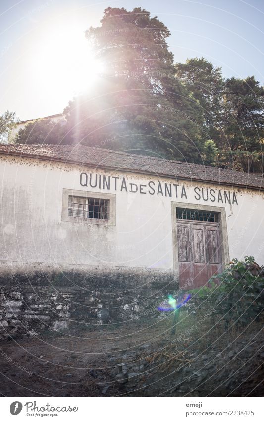 Quinta de Santa Susana Summer Village House (Residential Structure) Hut Wall (barrier) Wall (building) Facade Old Poverty quinta Winery Vacation photo