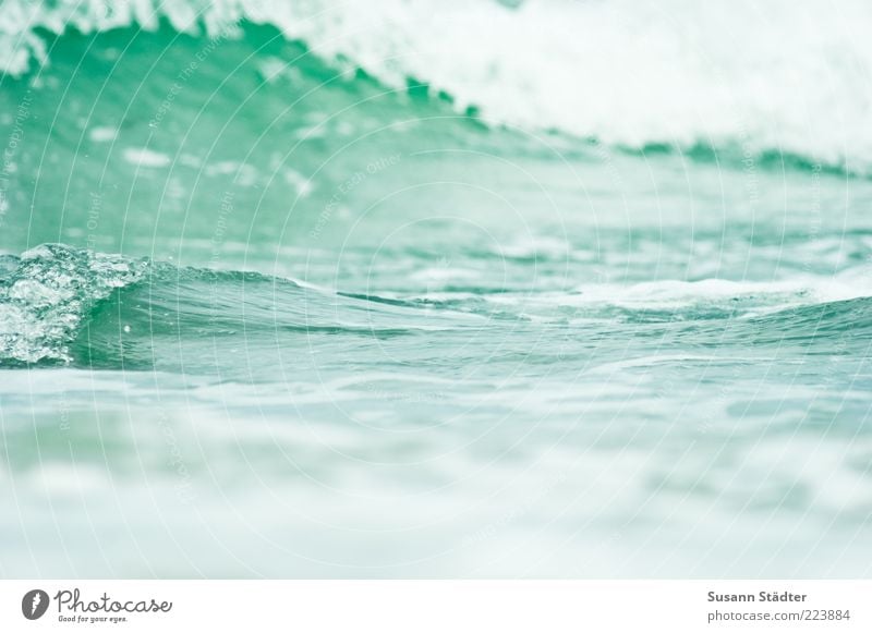 Baltic Waves Baltic Sea Swell Foam Green Surface Tsunami Colour photo Exterior shot Close-up Abstract Structures and shapes Copy Space top Light