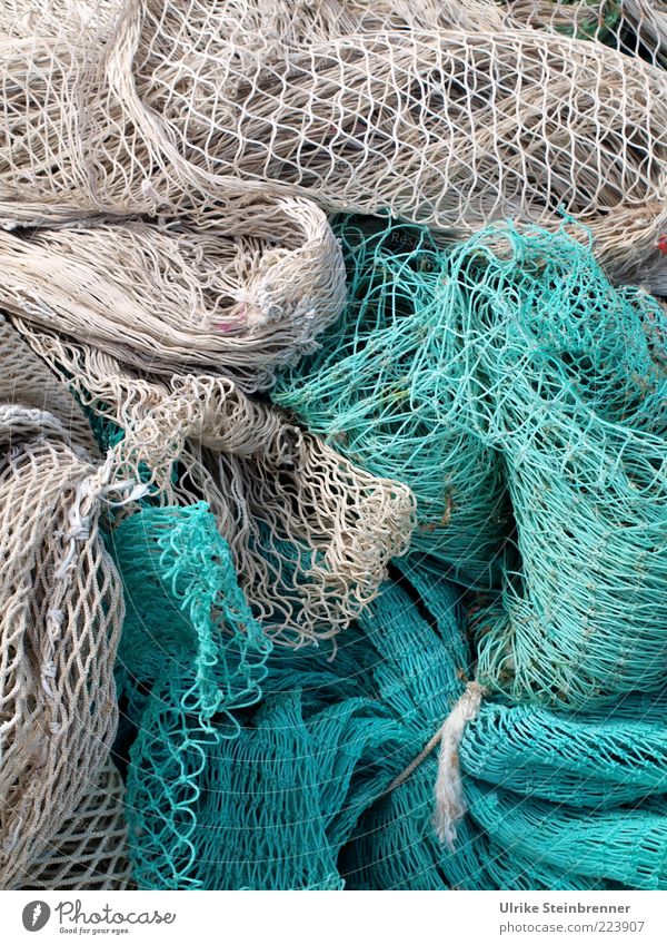 Fishing nets in two colors Fishery Turquoise Navigation Fishing boat Rope Lie Firm Attachment Knot Structures and shapes Network Hold Dry Sardinia Tradition