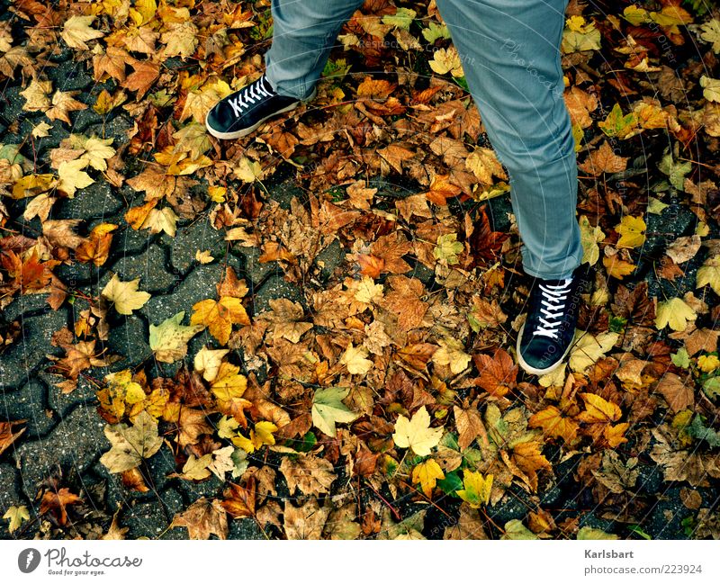 Spread it out in autumn. Human being Legs 1 Autumn Leaf Pants Footwear Sneakers Uniqueness Autumn leaves Splay Stand Colour Colour photo Multicoloured