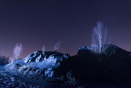 Night Desert Landscape Environment Nature Plant Elements Earth Sand Cloudless sky Night sky Stars Sunrise Sunset Winter Climate change Ice Frost Drought Tree
