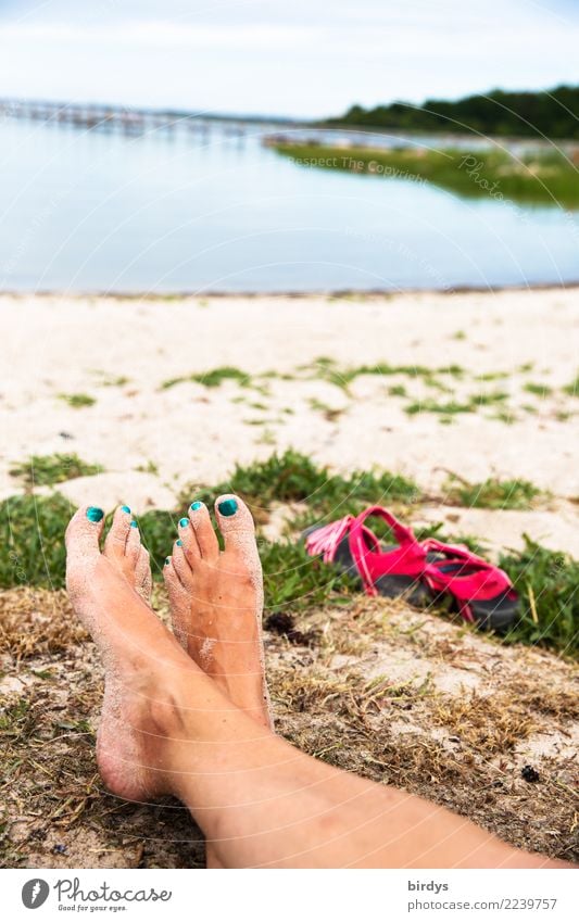 relaxed time Nail polish Relaxation Calm Summer vacation Feminine Woman Adults Feet 1 Human being 30 - 45 years Beautiful weather Coast Lakeside Beach