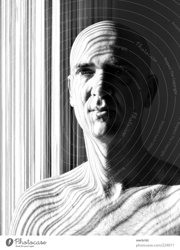 stricken Design Human being Masculine Head 1 30 - 45 years Adults Bald or shaved head Gray Black White Esthetic Barcode Visual spectacle Shadow Drape