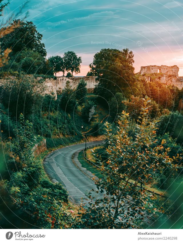 French landscape with castle at sunset Vacation & Travel Tourism Trip Adventure Freedom Summer Environment Nature Landscape Spring Beautiful weather Tree Park