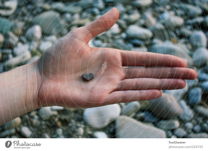 Your heart in my hand Hand Stone Esthetic Trust Safety Safety (feeling of) Agreed Sympathy Love Infatuation Romance Heart Colour photo Exterior shot Close-up