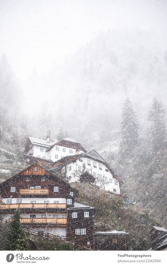 Alpine village on a snowing day Vacation & Travel Mountain House (Residential Structure) New Year's Eve Nature Weather Bad weather Storm Gale Snow Snowfall