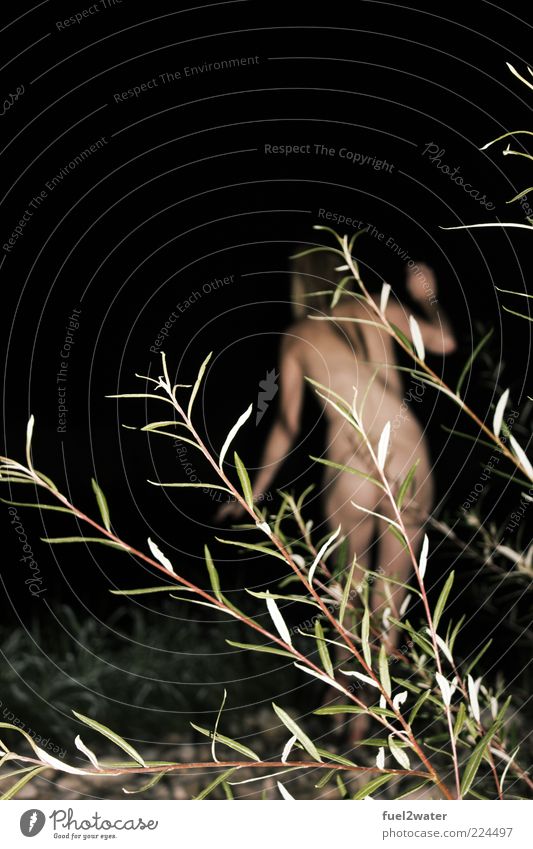 nightshot Summer Feminine Young woman Youth (Young adults) Body 1 Human being 18 - 30 years Adults Nature Plant Bushes Wild plant Movement Rebellious Beautiful