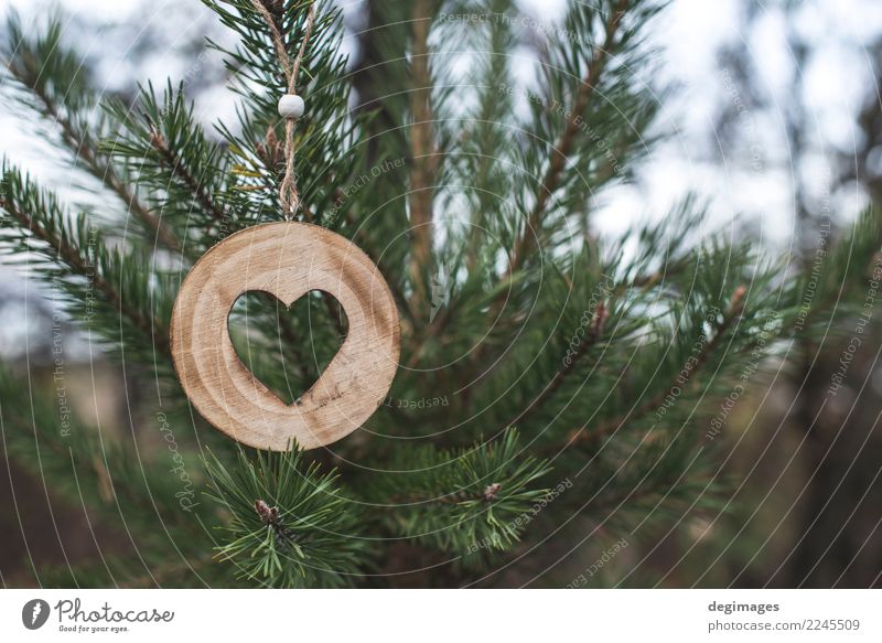 Wooden heart shape on fir Decoration Christmas & Advent Nature Tree Forest Heart Old Love Natural Brown Green White background christmas bark Consistency trunk