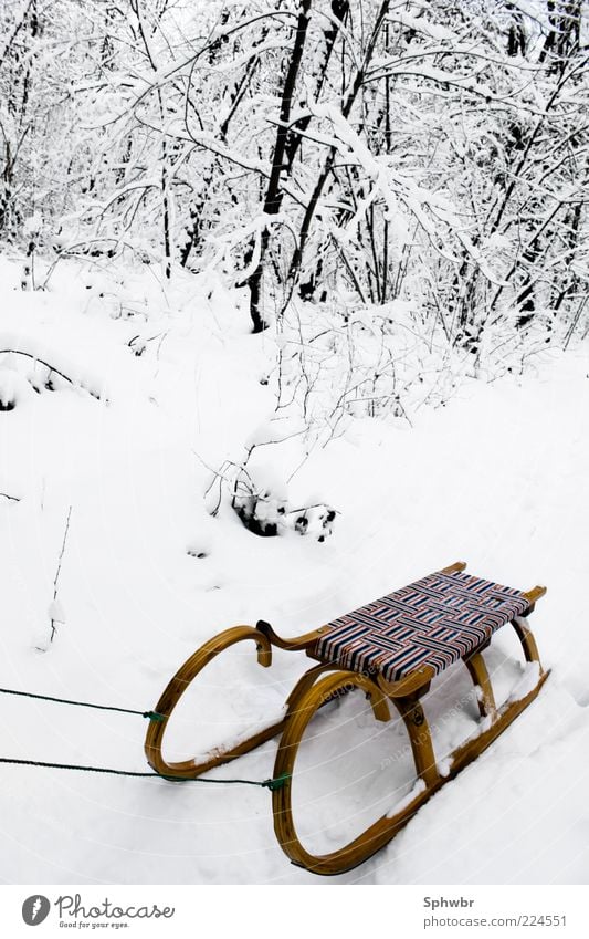 Lonely sleigh Trip Winter Snow Cold Exterior shot Deserted Contrast Deep depth of field Sleigh Snow layer Snowscape Classic Old fashioned Object photography
