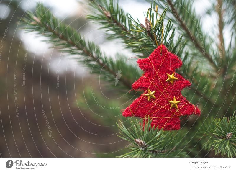 Red christmas tree on branch Decoration Feasts & Celebrations Christmas & Advent Nature Tree Forest New Green background holiday Seasons Farm Pine seasonal fir