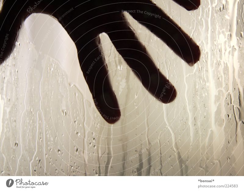 tschö 2010 Masculine Man Adults Hand Fingers Human being Slice Pane Drop Touch To hold on Hot Wet Clean Cleanliness Perspiring Steam Misted up Damp Colour photo