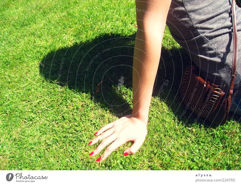 sunny times. Feminine Young woman Youth (Young adults) Arm Hand 1 Human being Grass Green Colour photo Exterior shot Day Shadow Sunbathing Women`s hand