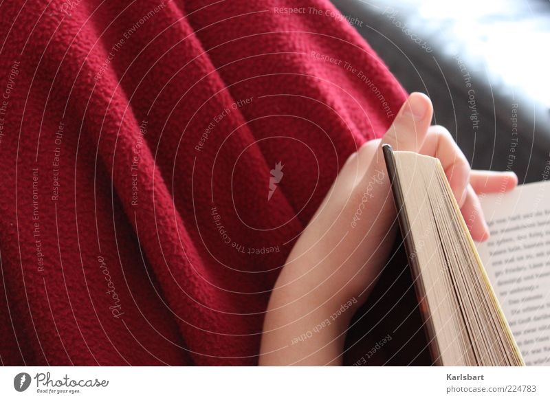 reading. Lifestyle Leisure and hobbies Reading Education Study Human being Hand 1 Print media Book Characters Red Emotions Calm Wool blanket Cozy Colour photo
