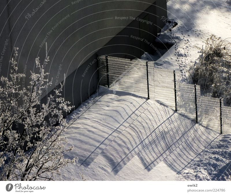 downside Winter Climate Weather Beautiful weather Ice Frost Plant Tree Bushes House (Residential Structure) Wall (barrier) Wall (building) Facade Fence
