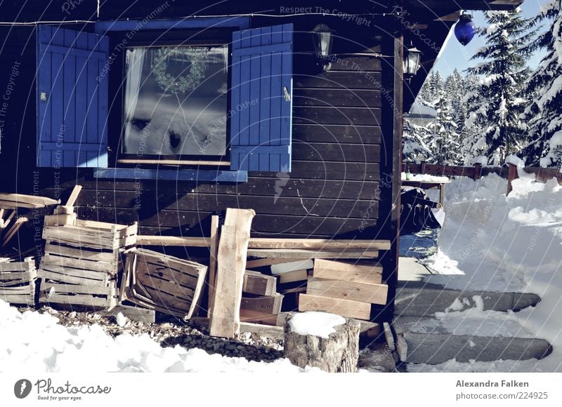 Wood in front of the hut. Ice Frost Snow House (Residential Structure) Detached house Hut Wooden hut Alpine hut Window Shutter Authentic Tradition Homey
