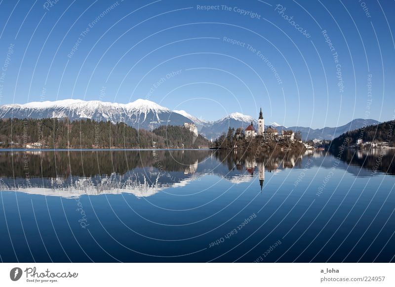 take the long way home Winter Beautiful weather Ice Frost Alps Mountain Snowcapped peak Lakeside Island Bled Small Town Old town Deserted Church