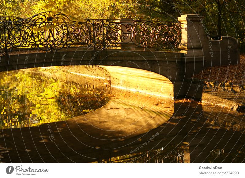 bridge magic Environment Nature Water Sunrise Sunset Sunlight Autumn Weather Beautiful weather Park Old Simple Wet Warmth Emotions Moody Colour photo