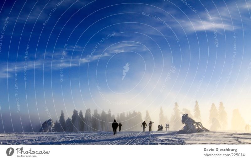 winter hiking country Human being 5 Nature Landscape Air Sky Clouds Winter Beautiful weather Ice Frost Snow Wild plant Forest Blue White Hiking To go for a walk