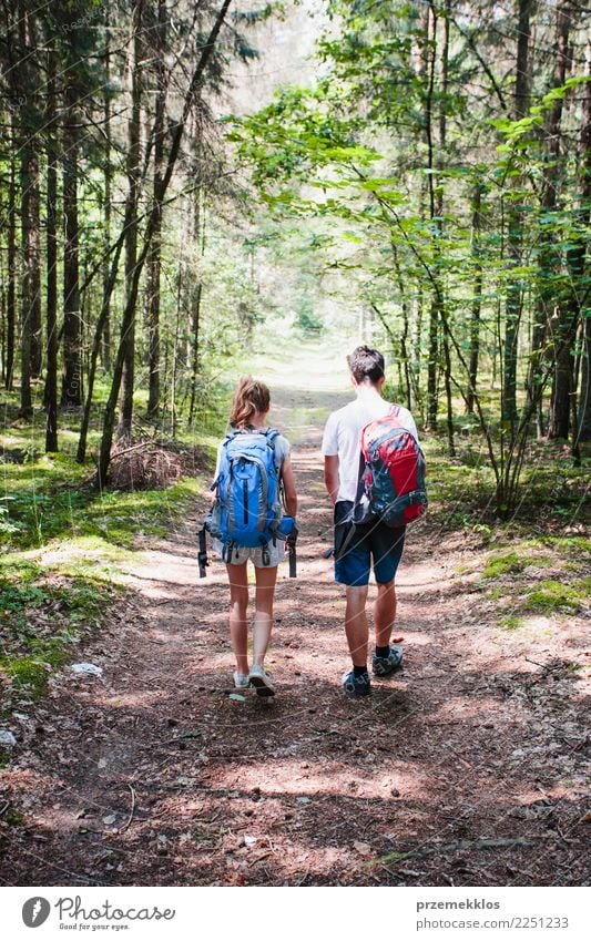 Boy and girl wandering in a forest on summer day Lifestyle Vacation & Travel Trip Adventure Freedom Summer Hiking Girl Boy (child) Young woman