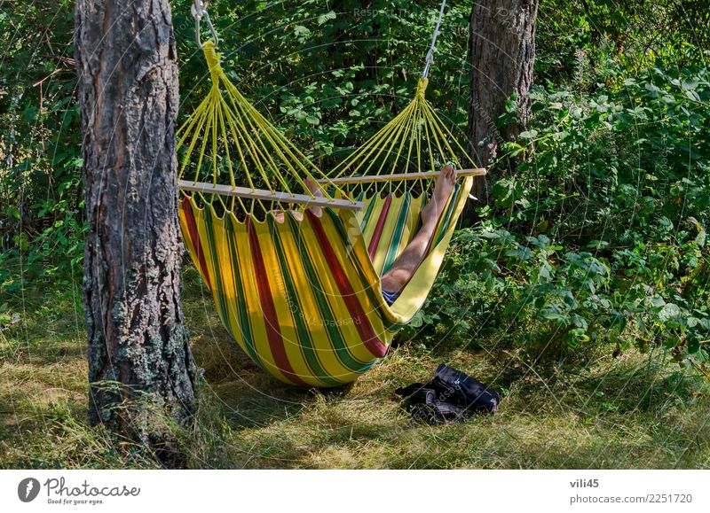 View of glade with hammock in the autumnal forest Lifestyle Beautiful Healthy Relaxation Leisure and hobbies Vacation & Travel Tourism Freedom Camping