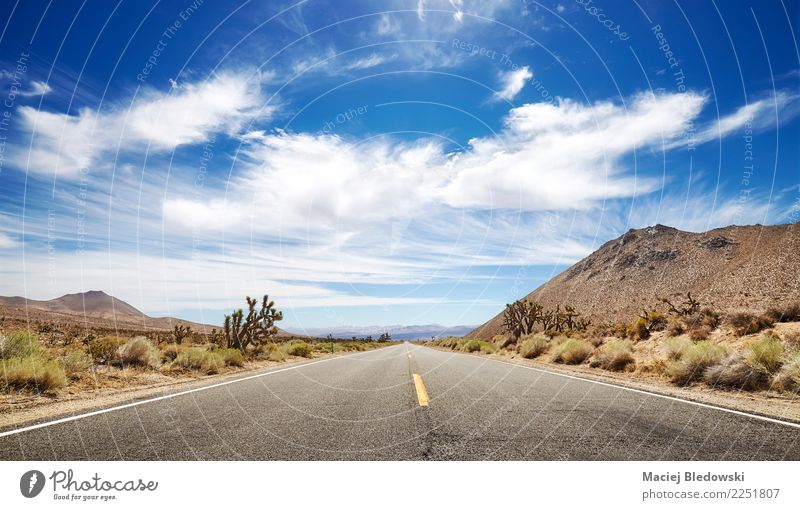 Panoramic picture of an endless road. Vacation & Travel Tourism Trip Adventure Far-off places Freedom Expedition Camping Cycling tour Landscape Sky Street