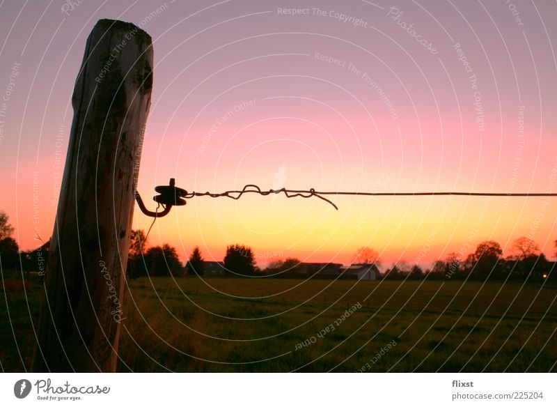 summer evening Landscape Cloudless sky Sunrise Sunset Summer Beautiful weather Field Hope Longing Fence post Colour photo Exterior shot Copy Space right