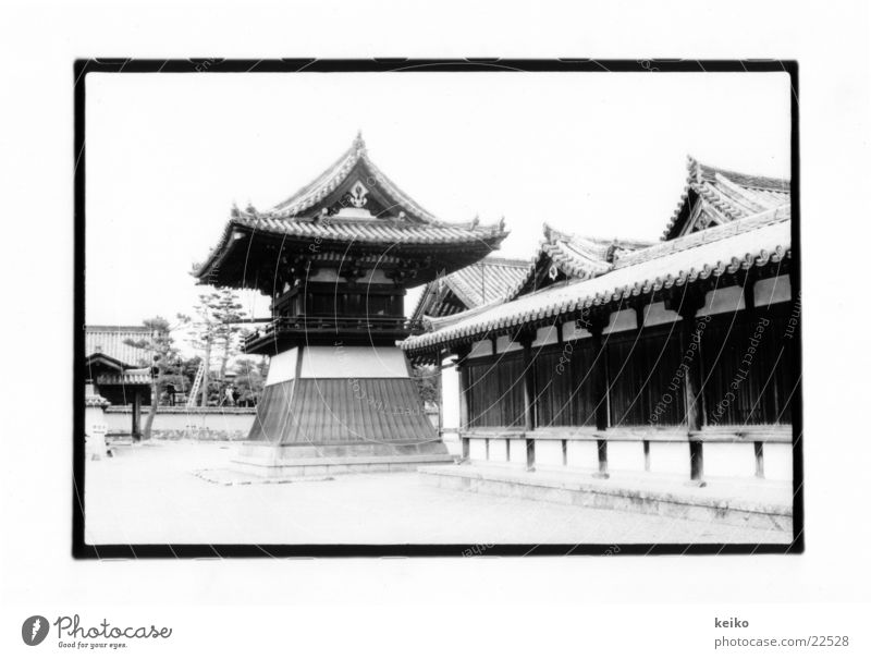 keiko Japan Nara Success Buddhist temples Architecture
