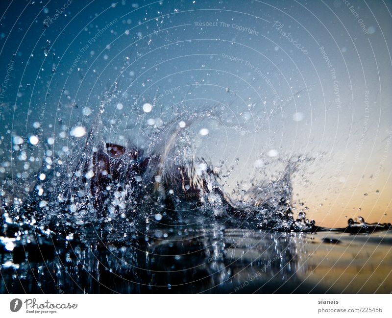 liquidity check Summer Elements Water Drops of water Cloudless sky Movement Wet Wild Surface of water Dynamics Liquid Colour photo Multicoloured Exterior shot