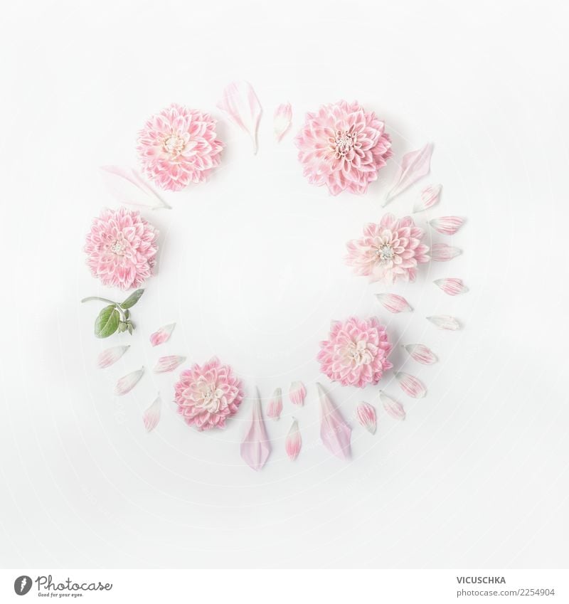 Round frame of pastel pink flowers Style Design Feasts & Celebrations Valentine's Day Mother's Day Wedding Birthday Flower Leaf Blossom Decoration Bouquet Sign
